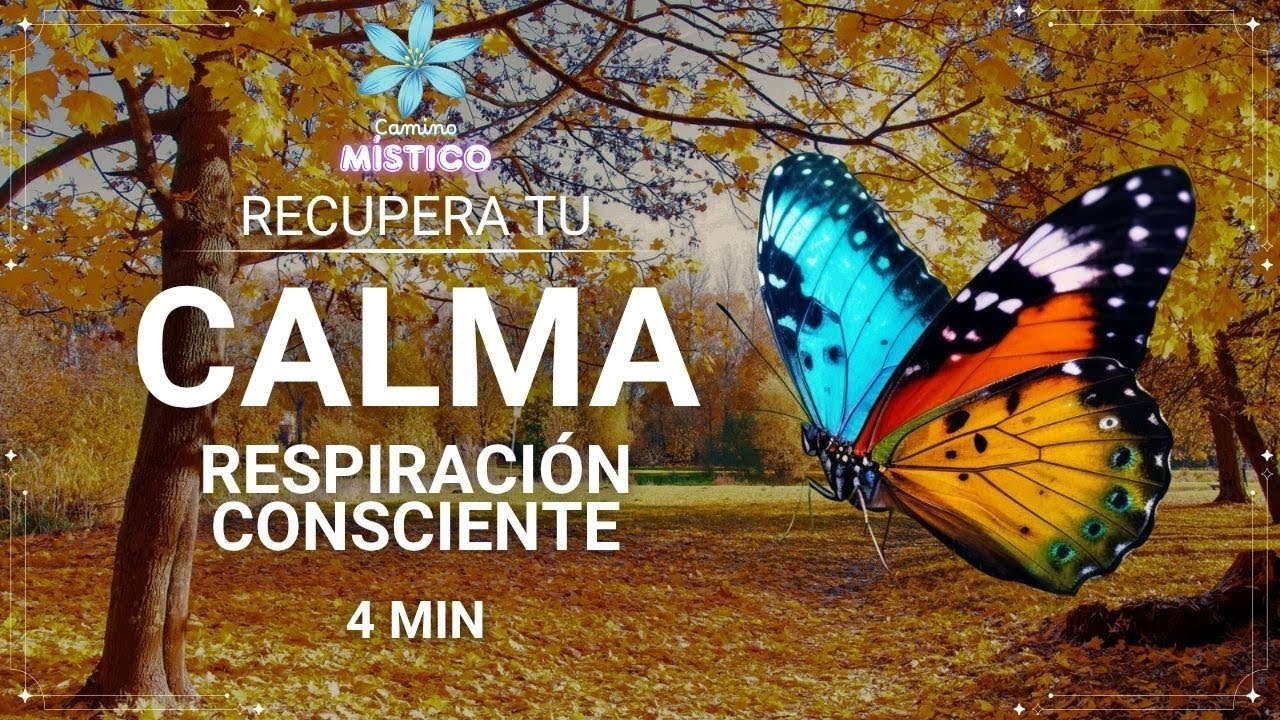Aprende a Calmar tu mente en Solo 4 Minutos - YouTube