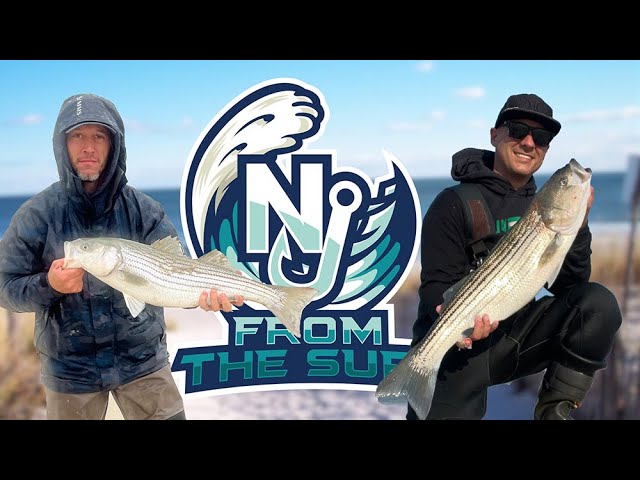 CATCHING STRIPED BASS ON LIVE BUNKER WITH CIRCLE HOOKS 