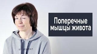 #304 Поперечные мышцы живота.