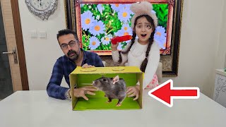 KUTUDA NE VAR CHALLENGE ‼️ ESMA ve BABA KAPIŞMA KOMİK VİDEO ماما جابت بيبي - جنى مقداد | طيور الجن