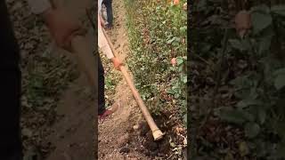 Satisfying Agricultural Work