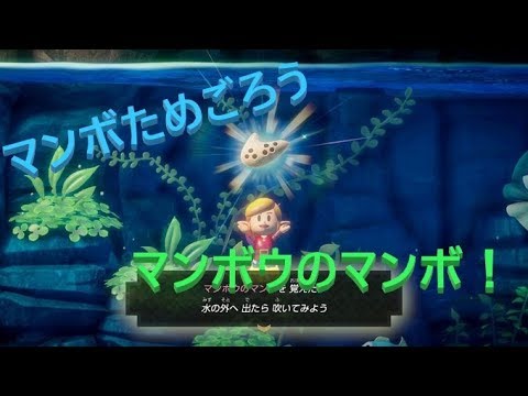 ゼルダの伝説 夢をみる島 リメイク ～マンボウのマンボ～