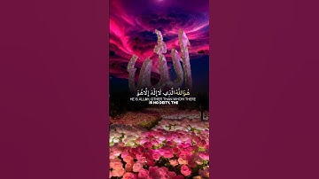 #سورة_الحشر #عبدالرحمن_السديس #اكسبلورر #duet #دويتو #القرآن #راحة_نفسية #تيك_توك #اكسبلور