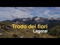 TRODO DEI FIORI - Lagorai
