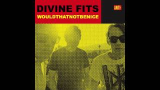 Video-Miniaturansicht von „Divine Fits - "Would That Not Be Nice" (RJD2 Remix)“