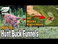 Deer Hunting Funnels & Pinchpoints