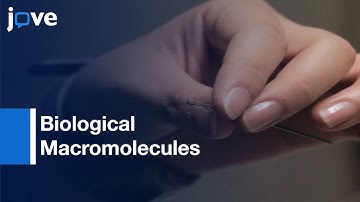 Small & Wide Angle X-Ray Scattering Studies Of Biological Macromolecules-Solution l Protocol Preview
