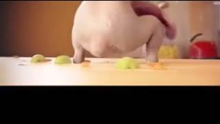 Enkomi̇k Vi̇deo Oynayan Tavuk