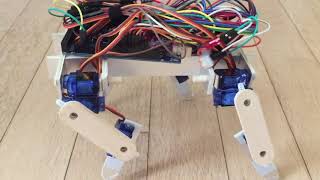 Walking quadruped robot test