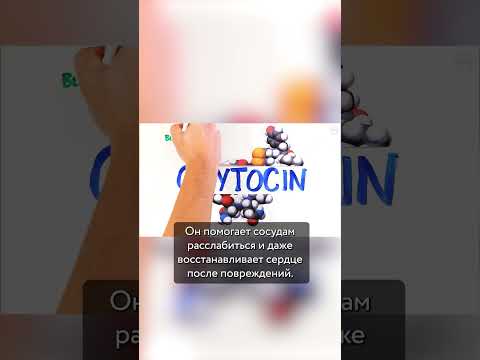 Можно ли умереть от стресса?