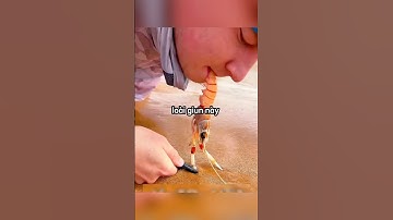 Sinh vật bí ẩn xuất hiện từ cát 😱#shortvideo