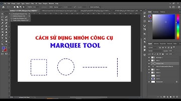 Bài 14. Cách sử dụng nhóm công cụ Rectangular Marquee Tool trong Photoshop