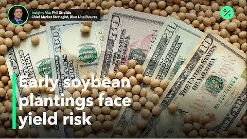 Cool weather puts soybean at risk