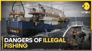 Illegal Fishing Now A Bigger Threat Than Piracy, Says Report World News Wion