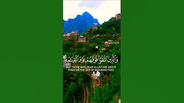 تلاوة خاشعة بصوت جميل ومؤثر يريح الأعصاب #تلاوة #اكسبلور #المصحف #aslam #duet #trend #لايك