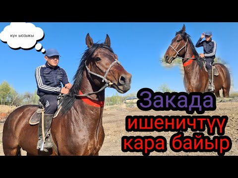 Video: Баалар-сапат катышы боюнча батирдин ТОП-10 кондиционерлери