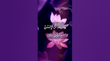 يوم يتذكر الأنسان ما سعى / الشيخ رعد الكردي تلاوة نادرة / سورة النازعات