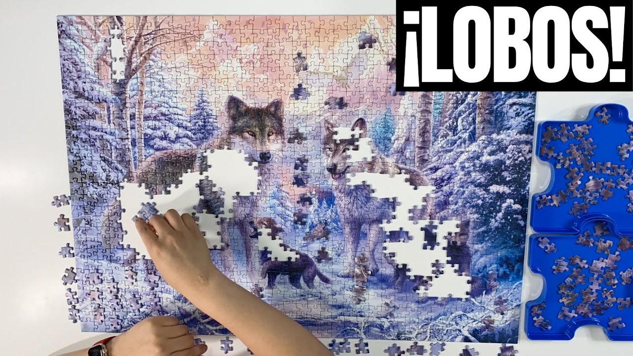 ROMPECABEZAS de LOBOS EN EL ÁRTICO | Ravensburger de 1000 piezas - YouTube
