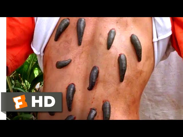 Anacondas 2 (2004) - Bloodsucking Leeches Scene (2/10) | Movieclips class=