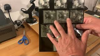 Darkroom Printing Pt2 - The Contact Sheet