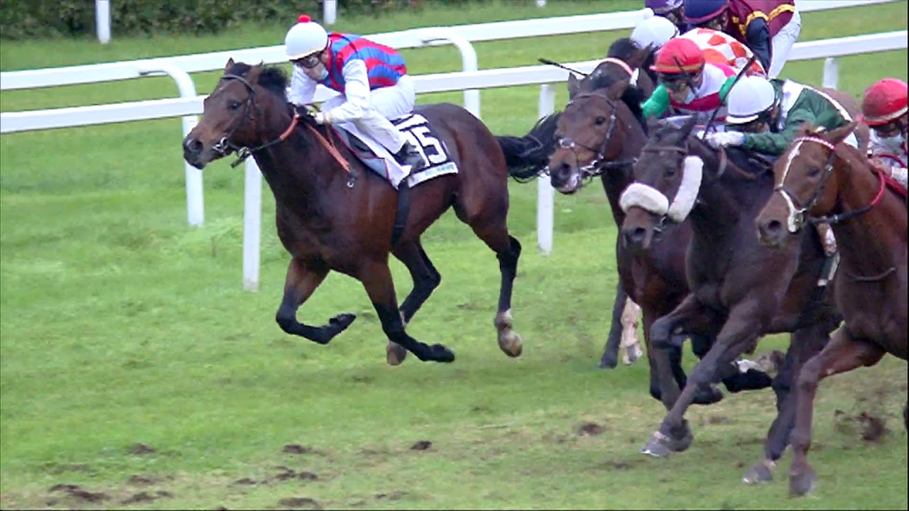 2020-12-06 corsa 6 metri 1600  130' Premio Pisa