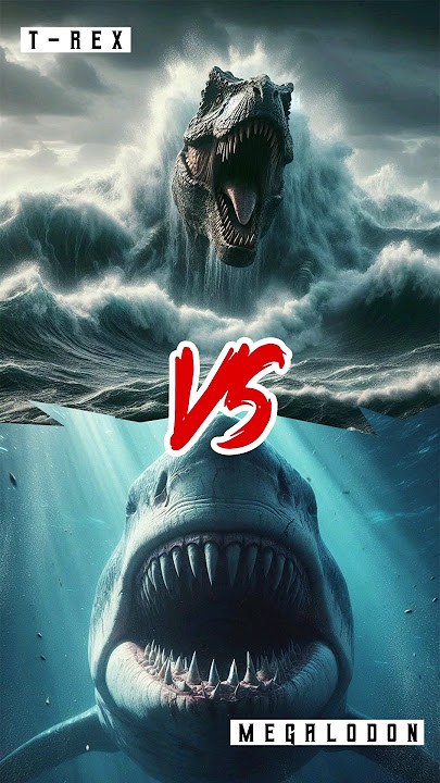 Siapa Jadi Santapan Makan Siang Megalodon VS T-Rex #megalodon #trex #shorts
