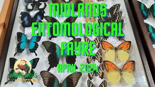 Midlands Entomological Fayre | Show Footage & Pick ups #expo #entomology #invertebrates