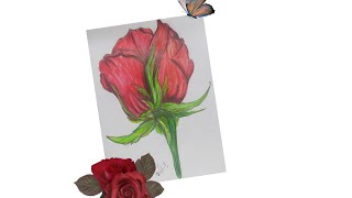 Drawing a rose in wooden colors(رسم وردة بالالوان الخشبيه )