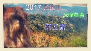 2017 拉拉山沄峰農場taiwan camp no.5