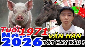 Xem Vận Hạn Tuổi Tân Hợi 1971 năm 2026 RA SAO ?  Phong Thủy 100 Năm