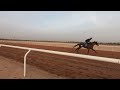 2023/02/21 ラウダシオン サウジアラビア調教動画(キングアブドゥルアジーズ競馬場)