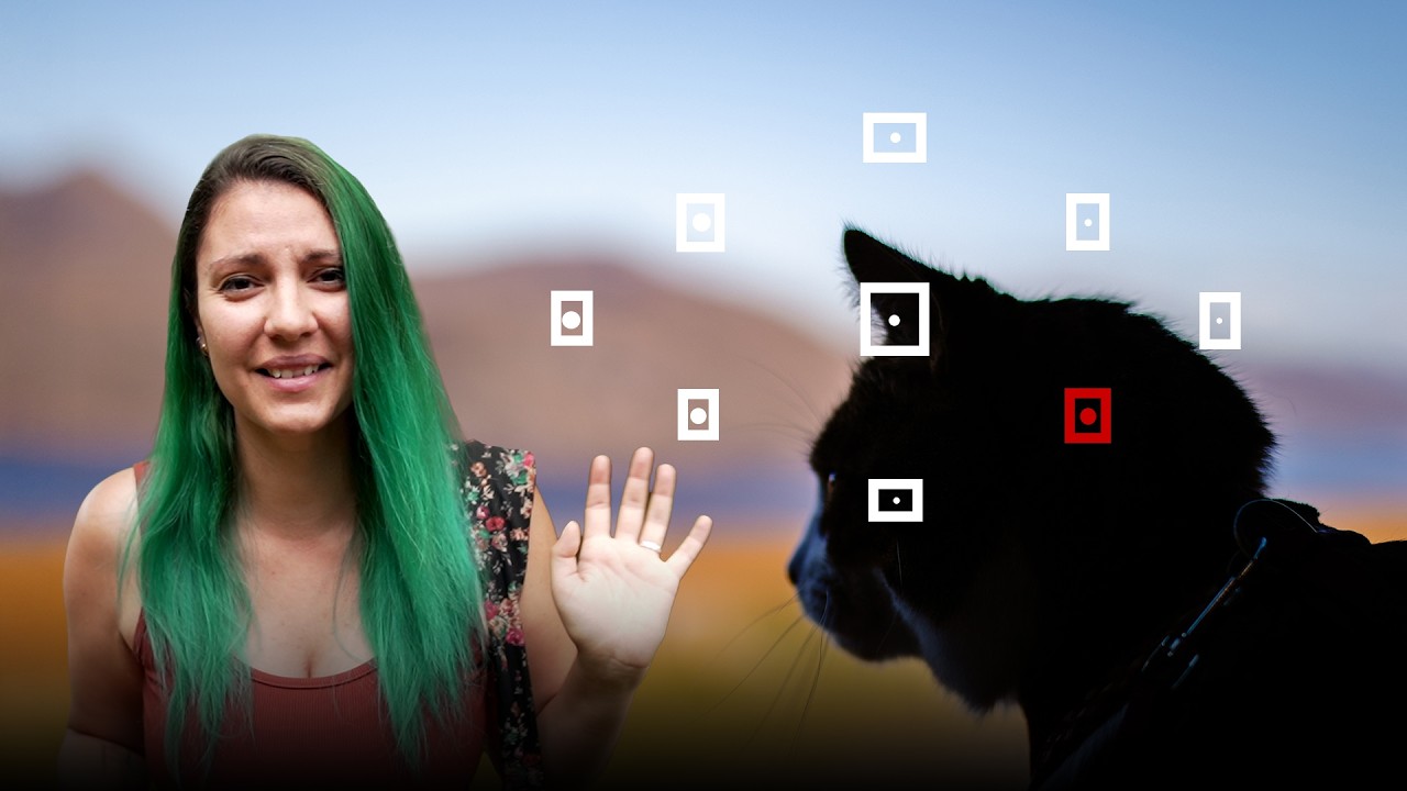 Comment améliorer la netteté de vos photos, grâce aux collimateurs !