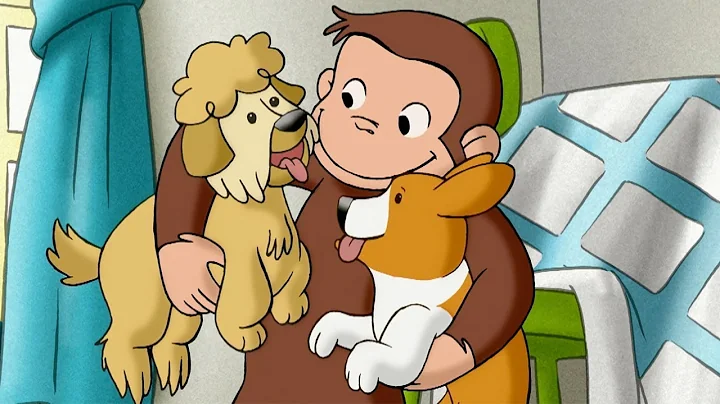 Curious George  1 Hour Compilation  HD  Cartoons F...