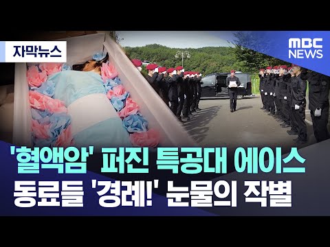 [자막뉴스] '혈액암' 퍼진 특공대 에이스 동료들 '경례!' 눈물의 작별 (2023.10.22/MBC뉴스)