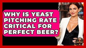Why Is Yeast Pitching Rate Critical For Perfect Beer? - The Pint Guy