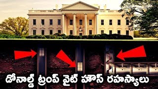 White house secretes || T Talks