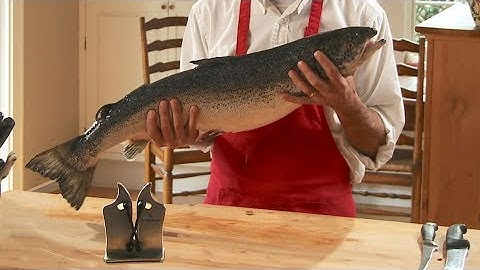 How to Fillet a Salmon at Home - Easy and Fast