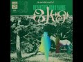 Beautify Junkyards - The Invisible World Of Beautify Junkyards (ALBUM STREAM)