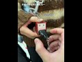 This keychain is perfect for couples. Haha. Try something new. Keychain. Daily life in love.