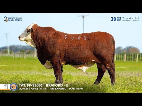 LOTE 11 TAT S5080 BRAFORD Est  Sta Tereza