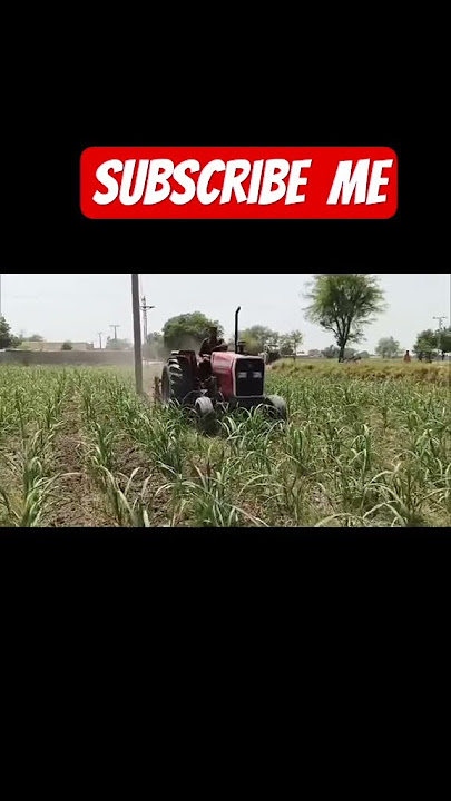 https://vt.tiktok.com/ZSBkpPkuM/Please subscribe
