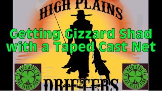 Getting Gizzard Shad with a Taped Cast Net
