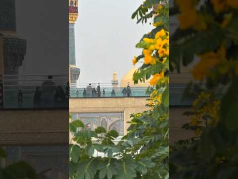 الآن الاجواء المطرية في العتبة العلوية المطهرة و بلل أروحنا بالطمأنينة كما يفعل المطر يالله