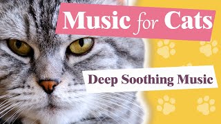 Calming Music for Cats with Anxiety 🐱 Deep Soothing Music 🎵 for  Stressed and Anxious Cats. 4K ! by Lounge Place 🎵  179 views 1 year ago 31 minutes
