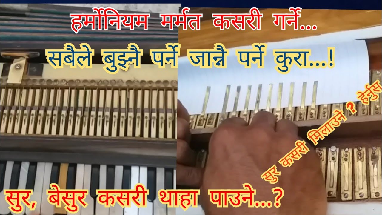 How to repair harmonium हर्मोनियमको सुर मिलाउने कसरी ?how to tune
