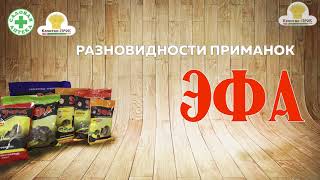 Умная отрава для крыс ЭФА. Быстро, эффективно, недорого. Крыса, Давай до свидания! Умная отрава для крыс ЭФА. Быстро, эффективно, недорого. Крыса, Давай до свидания!