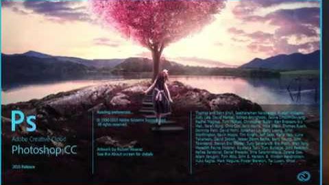 How to install Adobe Photoshop CC  dds Plugin 32Bit Only