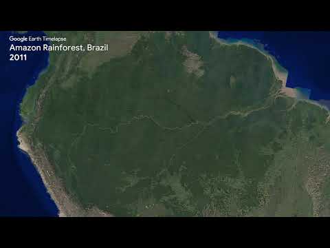 Google Earth Timelapse: Amazon Rainforest, Brazil