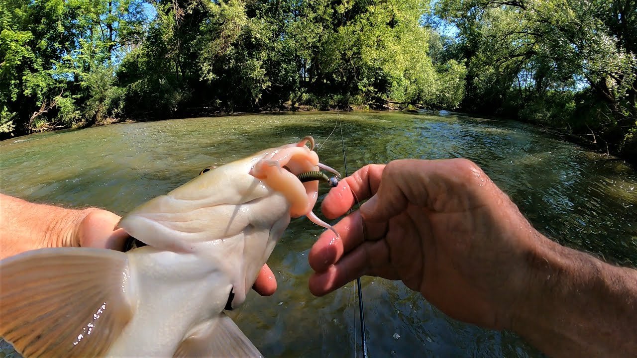 Prospection de nouveaux spots à l'Ill à l'UL