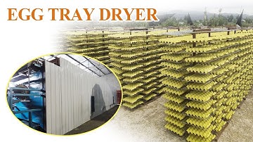 Egg Tray Dryer Options: Choose the Right One for Your Egg Tray Making Machine #eggtraymakingmachine